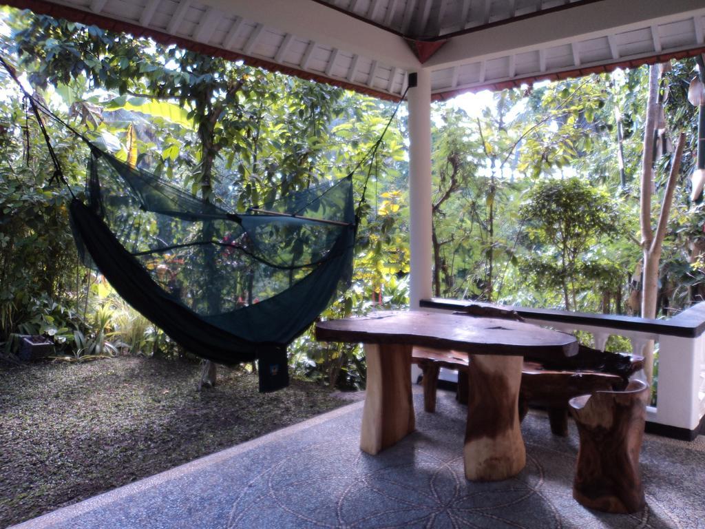 Hotel White Lotus Oasis Ubud Pokoj fotografie