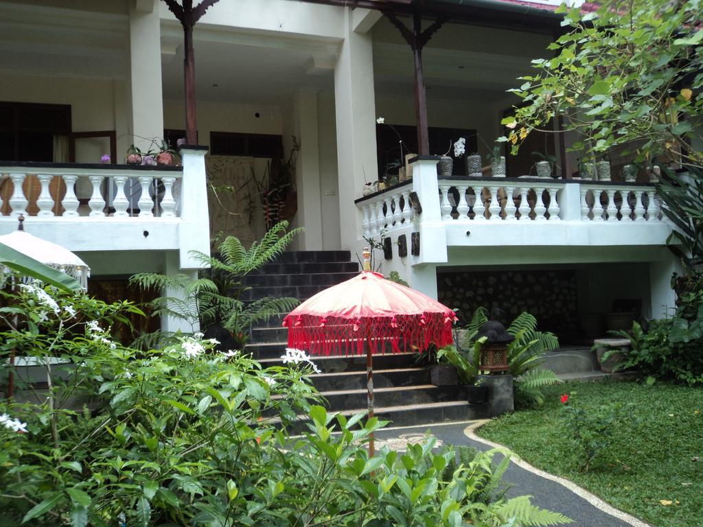 Hotel White Lotus Oasis Ubud Exteriér fotografie